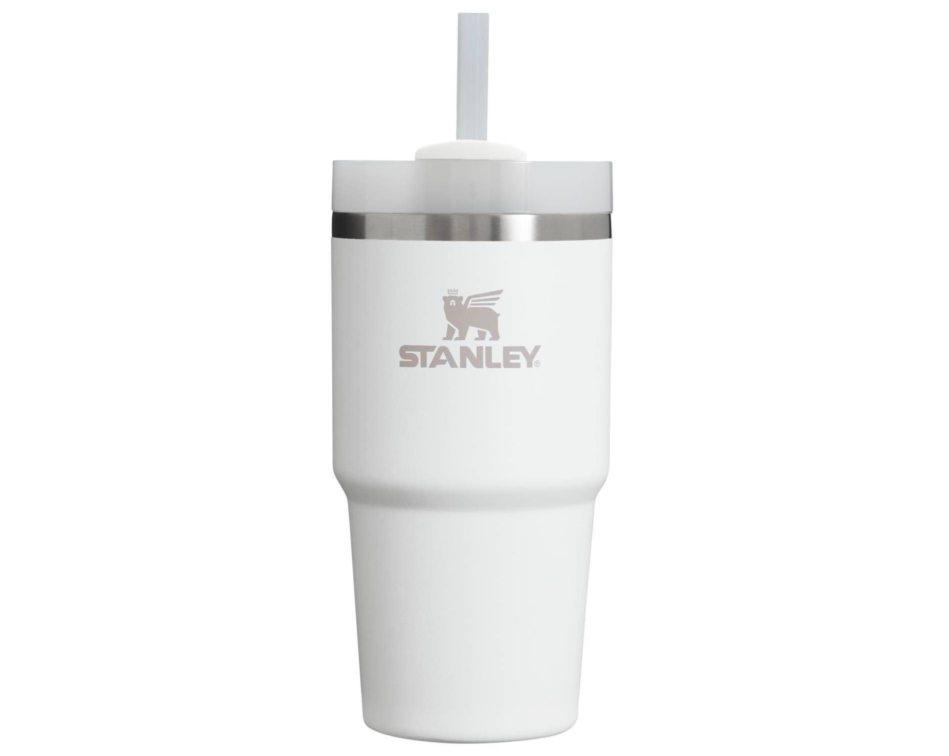 Stanley 20 oz Stainless Steel H2.0 FlowState Quencher Tumbler Frost