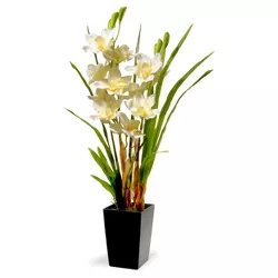 31" White Orchid Flowers - National Tree Company