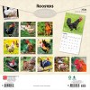 BrownTrout Roosters 2026 12"x24" Hanging Square Wall Calendar Plastic-Free - 2 of 4