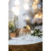 Syemin Decorative Objects Christmas Ball Ornaments Glass Decorative Hanging Ball Christmas Tree Ornaments Holiday Set of 12, Multicolored, 3"*3"*3" - 4 of 4