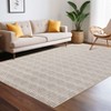 8x10 Living Room Rug Machine Washable Print Braided Large Area Rug Farmhouse Solid Carpet Non-Slip Non-Shedding Thin Indoor Floor Carpet for Office - 4 of 4