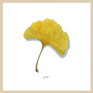 Amanti Art Golden Ginkgo Study II by Grace Popp Wood Framed Wall Art Print - 1 of 4