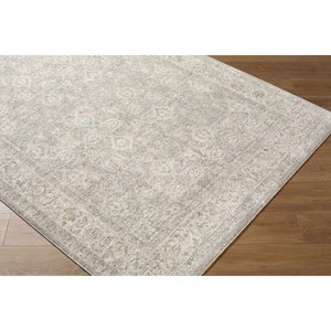 Hauteloom Buddug Living Room, Bedroom Area Rug - Traditional - 1 of 4