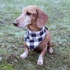 Luvable Friends Dog Reversible Pet Dog and Cat Bandana Bibs 2pk, Plaid Camo, One Size - 4 of 4