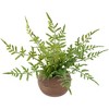 Northlight Real Touch™ Artificial Fern Plant in Orb Pot 11" - 4 of 4