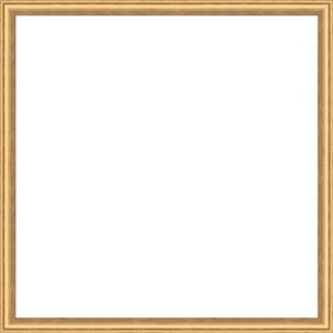 Amanti Art Salon Scoop Gold Framed Dry Erase Magnetic Board - 1 of 4