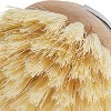 Kuchenprofi Classic Stainless Steel Dishwashing Brush w/Natural Bristles, 11-Inch - 2 of 2