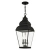 Livex Lighting Exeter 3 - Light Pendant in  Black - 3 of 4