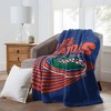 NCAA Florida Gators 60" x 80" Raschel Throw Blanket - 2 of 4