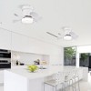 21 inch Ceiling Fan with 3 Color Temperatures Light and Remote Control - 3 of 4