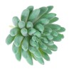 Unique Bargains Small Unpotted Realistic Textured Garden Decoration Artificial Succulent Plant - 3 of 4