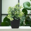 Unique Bargains Plant Fake Frosted Plastic Green 2.36"x2.36"x7.48" 1Pc - 2 of 4