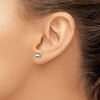 Chisel Titanium Polished 6mm Ball Stud Earrings - 4 of 4