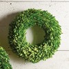 Plum & Post Boxwood Wreath 16" - 2 of 3
