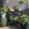 Square Self-Watering Plastic Indoor Outdoor Planter Pot 10"x10" - Room Essentials™ - 2 of 4