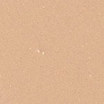 Buff Beige