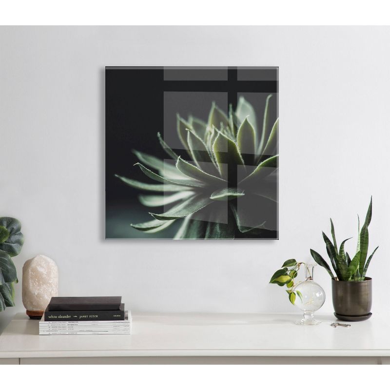 23&#34; x 23&#34; Warrior Succulent by Emiko and Mark Franzen of F2 Images Unframed Wall Canvas - Kate &#38; Laurel All Things Decor, 6 of 8