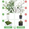 Artificial Tree in Pot with Realistic Leaves & Natural Wood Trunk 5FT/6FT/7FT/8FT - 3 of 4