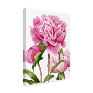 Trademark Fine Art -Grace Popp 'Winsome Peonies Ii' Canvas Art - 1 of 4