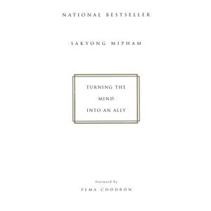 Turning the Mind Into an Ally - by  Sakyong Mipham (Paperback) - 1 of 1