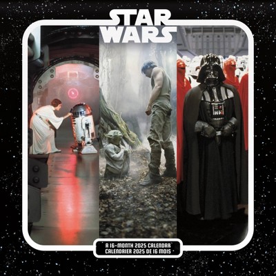 Trends International 2025 Star Wars Bilingual French Wall Calendar: Monthly 12x12 Paper, Multicolored, All Ages, Saddle Stitch