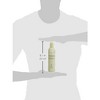 Aveda Pure Abundance Volumizing Shampoo (8.5 oz) & Volumizing Clay Conditioner (6.7 oz) for Fullness & Volume of Fine Hair - 4 of 4