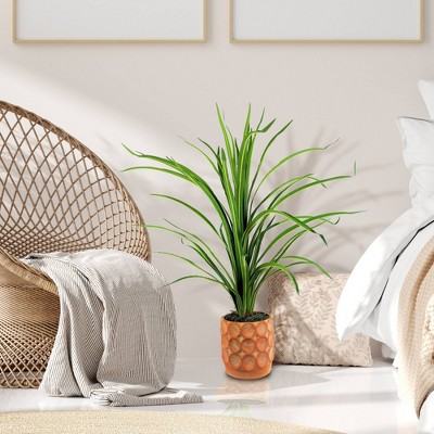 38" Green Faux Dracaena Plant in Terracotta Cement Planter