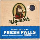 DR. SQUATCH Men's All Natural Bar Soap - Fresh Falls - Clean Breeze Scent - 5oz