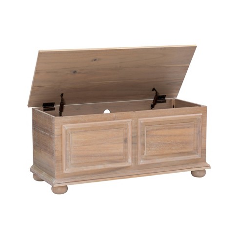 Storage best sale chest target