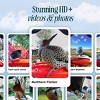 Bird Buddy Smart Bird Feeder with Camera and Solar Roof - 3 of 4