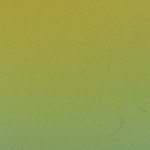 assorted color-yellow