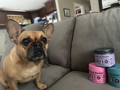 Guest review image 1 of 2, zoom in