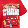 Disney Birthday T-Shirt Toddler Sizes (12 Months - 10-12) - 4 of 4