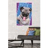 Trends International Keith Kimberlin - Kittens - Pug - Selfie Unframed Wall Poster Prints - 2 of 4