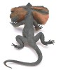 Collectible Wildlife Gifts | Lizard, Frill-Necked Lizard, Frilled Dragon, Rubber Reptile Toy, Realistic Figure, Model, Gift,   6"  F2048 B187 - 3 of 4