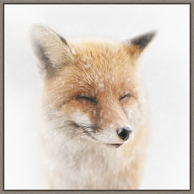 22" x 22" Satisfied Fox Framed Wall Canvas - Amanti Art