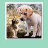 Hamilco White Cardstock Scrapbook Paper 12x12 Heavy Weight 80 lb Cover Card Stock – 25 Pack - Bright White - 3 of 4