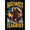 Boy's Harry Potter No Hogwarts Without Hagrid T-Shirt - 2 of 4