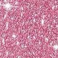 glitter pink