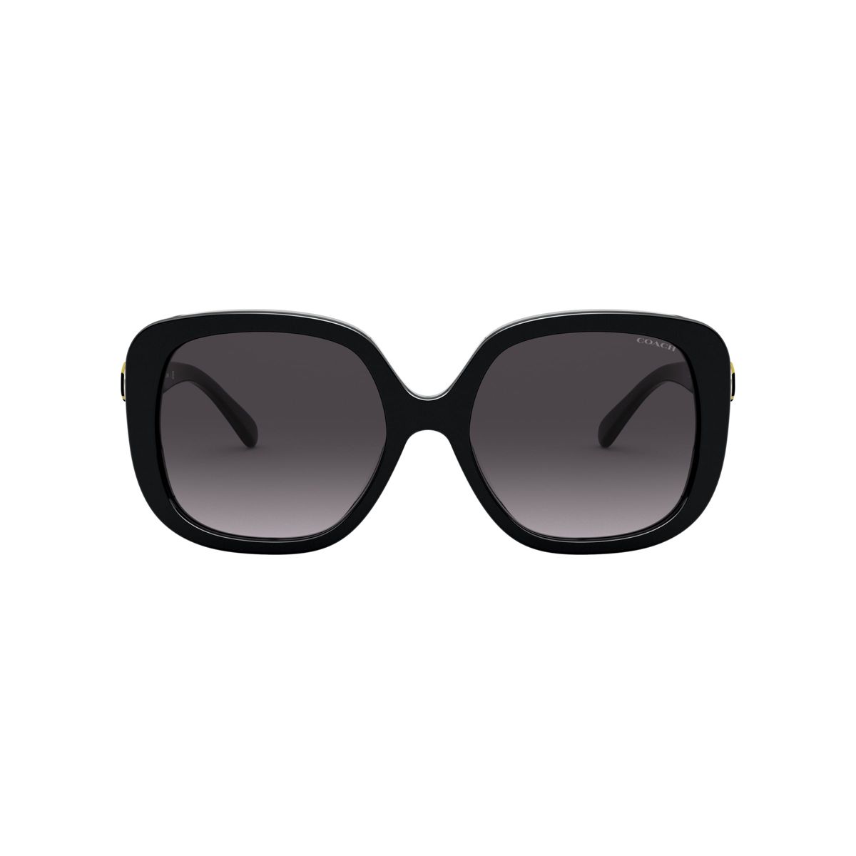Coach HC8292 56mm Female Square Sunglasses - thumbnail 2