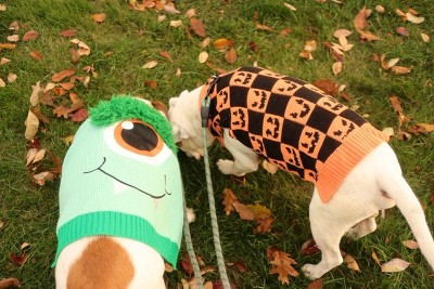 Guest review image 2 of 3, zoom in