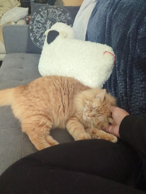 Guest review image 1 of 1, zoom in