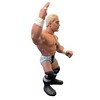 Zombie Sailor's Toys Wrestling's Heels and Faces Retro Action Figure | Chris Candido - 4 of 4