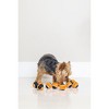 Midlee Orange/Black Mini Dog Halloween Tennis Balls- Set of 12 - 4 of 4