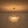 C Cattleya Luxury Gold Chandeliers with Ribbed Globe Glass - 4 of 4