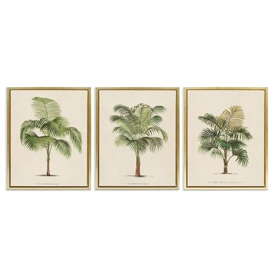 Stupell Industries Les Palmiers Botanical Trio, 17" x 21"