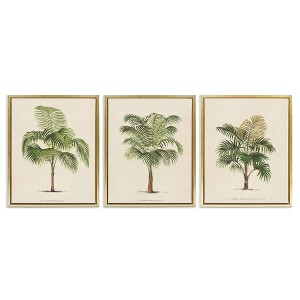 Stupell Industries Les Palmiers Botanical Trio, 17" x 21" - 1 of 4