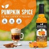 Syruvia Pumpkin Spice Syrup for Coffee 25.4 fl oz Premium Coffee Flavoring Syrup (6-Pack) - 2 of 4