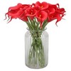 Duovlo 20pcs Calla Lily Bridal Wedding Bouquet Lataex Real Touch Artificial Flower Home Party Decor (Red) - 3 of 4