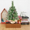 Whisen 2FT Prelit Artificial Christmas Tree with Pine Needle, PVC Branches, LED Lights, Timer, Battery Operated - 3 of 4